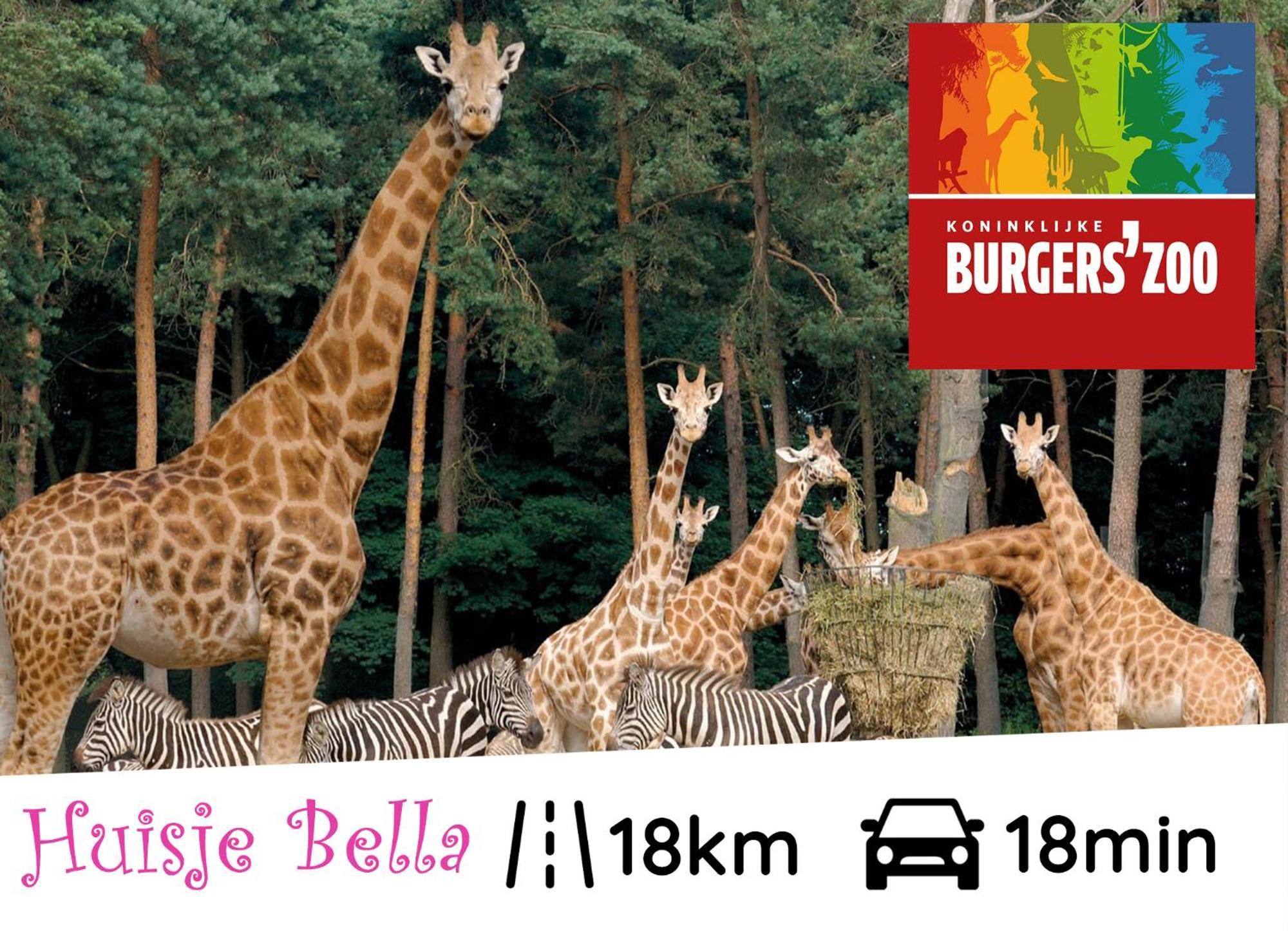 Chalet Huisje Bella Op De Veluwe Max 2 Volwassene Beekbergen Buitenkant foto